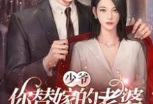 少爷,你替嫁的老婆原来是大佬完整版小说免费阅读,少爷,你替嫁的老婆原来是大佬小说-艾米文学