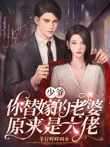 少爷，你替嫁的老婆原来是大佬完整版小说免费阅读，少爷，你替嫁的老婆原来是大佬小说