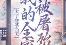 哪里能找到太子登基当天，我的全家被屠殆尽小说的全部章节？-艾米文学