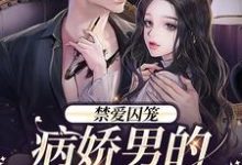 《禁爱囚笼：病娇男的独占欲》季晏清慕之桃小说免费阅读完整版-艾米文学