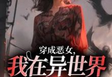 裴泠完整版《穿成恶女,我在异世界重拳出击!》小说免费阅读-艾米文学