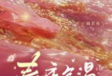 《春夜余温》小说免费阅读完整版-艾米文学