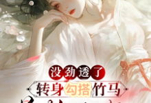 没劲透了，转身勾搭竹马首辅小叔免费阅读，没劲透了，转身勾搭竹马首辅小叔沈蕴之宋窈窈-艾米文学