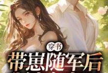 穿书：带崽随军后我被宠上天沈淮初陆云琛小说在线章节免费阅读-艾米文学