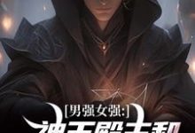 男强女强:神王殿主和女特工闪婚了小说阅读,男强女强:神王殿主和女特工闪婚了完结版-艾米文学