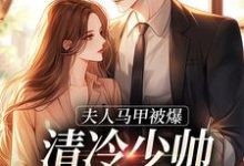 在线寻找夫人马甲被爆，清冷少帅宠妻无度！小说的无删减版本-艾米文学