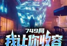 陆鼎小说《749局：我让你收容，你都灭口了？》在线阅读-艾米文学