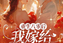 已完结小说《重生八零后,我嫁给渣男他叔》章节在线阅读-艾米文学