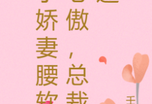 完结版《小娇妻腰软心傲，总裁迷》在线免费阅读-艾米文学