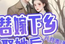 简艾陈宵小说在线章节免费阅读(替嫁下乡,娶她后,他全家都活了无弹窗无删减)-艾米文学