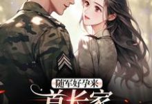 温锦言陆霆钧小说在线章节免费阅读(随军好孕来:首长家来了个大美人无弹窗无删减)-艾米文学