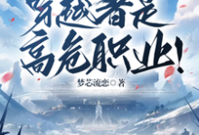 叶阳小说叫什么(众所周知,穿越者是高危职业!完整版免费阅读)-艾米文学