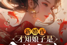 新婚夜,才知娘子是魔教圣女这本小说怎么样?免费在线阅读试试-艾米文学
