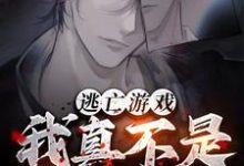 叶翊小说逃亡游戏:我真不是杀人犯!完整版阅读-艾米文学