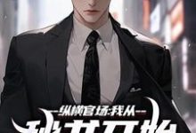 纵横官场：我从秘书开始强势崛起免费阅读，纵横官场：我从秘书开始强势崛起刘志高-艾米文学