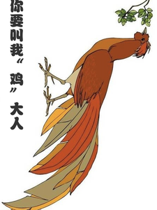 你要叫我鸡大人小说，你要叫我鸡大人在线阅读