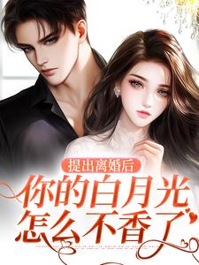 江晚吟商扶砚小说免费阅读完整版