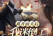 离开前夫后,我迷倒了豪门太子爷这本小说完结了吗?免费查看最新章节-艾米文学