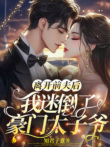 离开前夫后，我迷倒了豪门太子爷这本小说完结了吗？免费查看最新章节