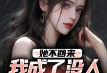 她不回来，我成了没人敢惹的混混小说完结版章节免费阅读-艾米文学