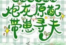 军婚七年未见,炮灰原配带崽寻夫这本小说怎么样?免费在线阅读试试-艾米文学