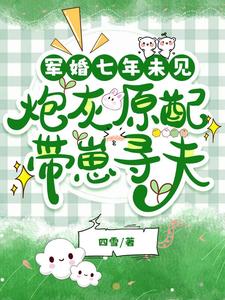 军婚七年未见，炮灰原配带崽寻夫这本小说怎么样？免费在线阅读试试