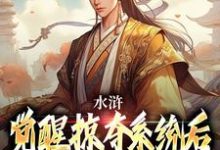 小说《水浒:觉醒掠夺系统后,我杀疯了》在线章节阅读-艾米文学