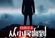 小说完整版《回到过去:从小民警到仕途巅峰!》免费阅读-艾米文学