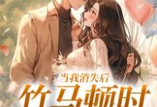 当我消失后,竹马顿时衰神附体小说阅读,当我消失后,竹马顿时衰神附体完结版-艾米文学