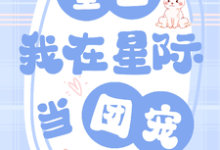 《重生：我在星际当团宠》柏愿小说免费阅读完整版-艾米文学