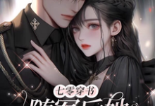 月初宁陆秋砚小说免费阅读完整版-艾米文学