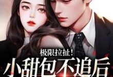 极限拉扯!小甜包不追后男神他慌了小说最新更新在哪里?免费在线看-艾米文学