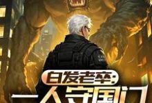 白发老卒:一人守国门弹指镇人间完整版小说,白发老卒:一人守国门弹指镇人间李苍澜-艾米文学