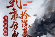 苏越小说开局被赐婚,我靠分身扮演幕后完整版阅读-艾米文学