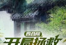 《四合院:开局拯救绝美小姨子》小说免费阅读完整版-艾米文学