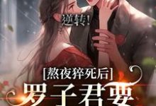 《逆转！罗子君要变职场新星》完整版小说免费阅读-艾米文学