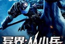 异界:从小兵开始崛起叶白小说在线章节目录阅读最新章节-艾米文学