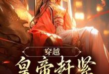 完结版《穿越：皇帝赶紧给我打江山》免费阅读-艾米文学