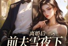 离婚后，前夫雪夜下跪求回头小说完结了吗？在哪里可以免费读到？-艾米文学
