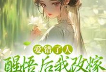 已完结小说《爱错了人,醒悟后我改嫁权王你哭啥》章节在线阅读-艾米文学