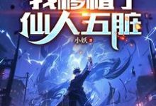 腰子被噶，我移植了仙人五脏陈凡小说免费阅读-艾米文学