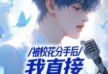 已完结小说《被校花分手后，我直接演唱会封神》在线章节阅读-艾米文学