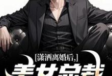 小说《潇洒离婚后，美女总裁绷不住了》在线章节阅读-艾米文学