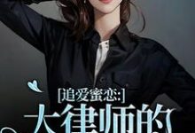 追爱蜜恋：大律师的惹火宝贝最新章节，追爱蜜恋：大律师的惹火宝贝免费阅读-艾米文学