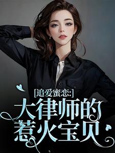 追爱蜜恋：大律师的惹火宝贝最新章节，追爱蜜恋：大律师的惹火宝贝免费阅读