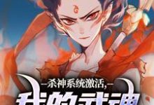 杀神系统激活,我的武魂是哪吒完整版最新章节,杀神系统激活,我的武魂是哪吒章节在线阅读-艾米文学