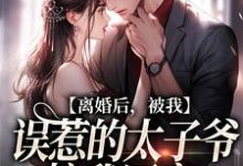 完整版的离婚后，被我误惹的太子爷接我回家小说在哪里可以免费读到？-艾米文学