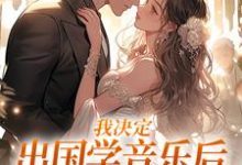 我决定出国学音乐后,大律师后悔了宋棉贺淮川,我决定出国学音乐后,大律师后悔了在线无弹窗阅读-艾米文学