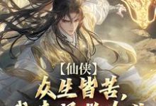 仙侠：众生皆苦，我来拯救众生陈阳小说完结版章节在线阅读-艾米文学