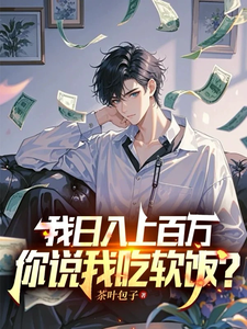我日入上百万，你说我吃软饭？杨辰小说在线章节免费阅读
